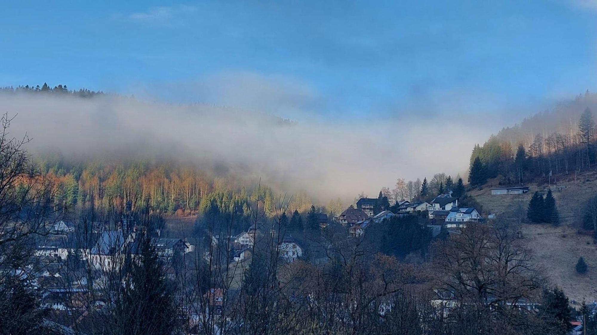 Haus-Herzogenhorn-Sunrise Todtmoos Kültér fotó